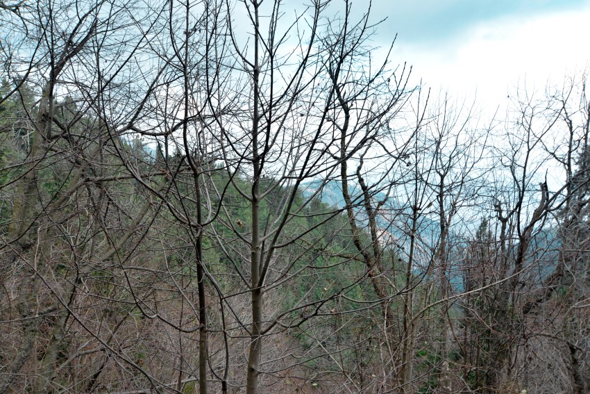 Autumn In Murree, Pakistan