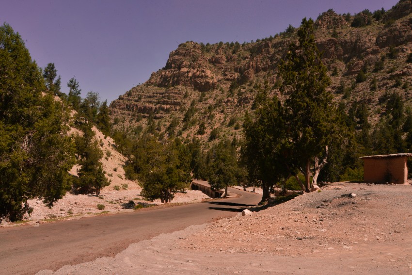 A paved road passing through mountains with tree