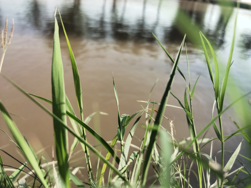 A beautiful grassy landscape beside a flowing canal