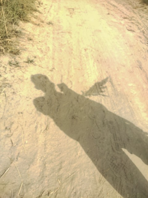 A boy's shadow on the street at noon