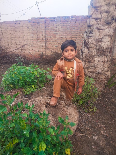 A child in the old house is smiling by looking at the photographer standing between the green plants with palm tree