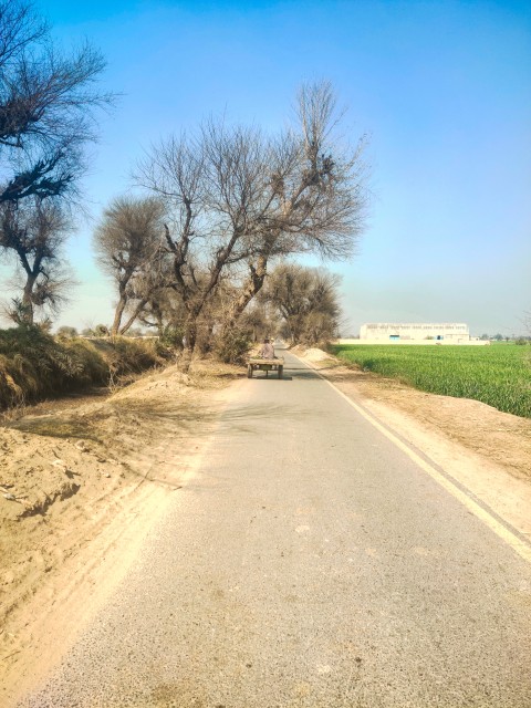 A donkey cart is going on the road in a village