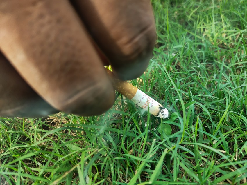A man is playing with grass in the park holding a cigarette in his hand