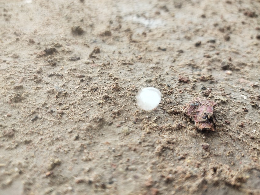 A scene of hail falling from the sky during rain. Small pieces of Natural ice