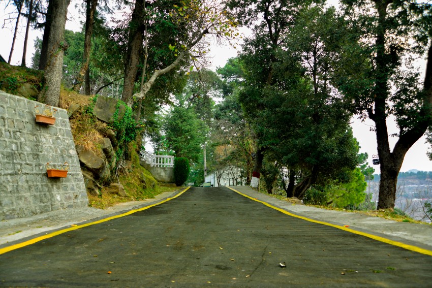 A small path way