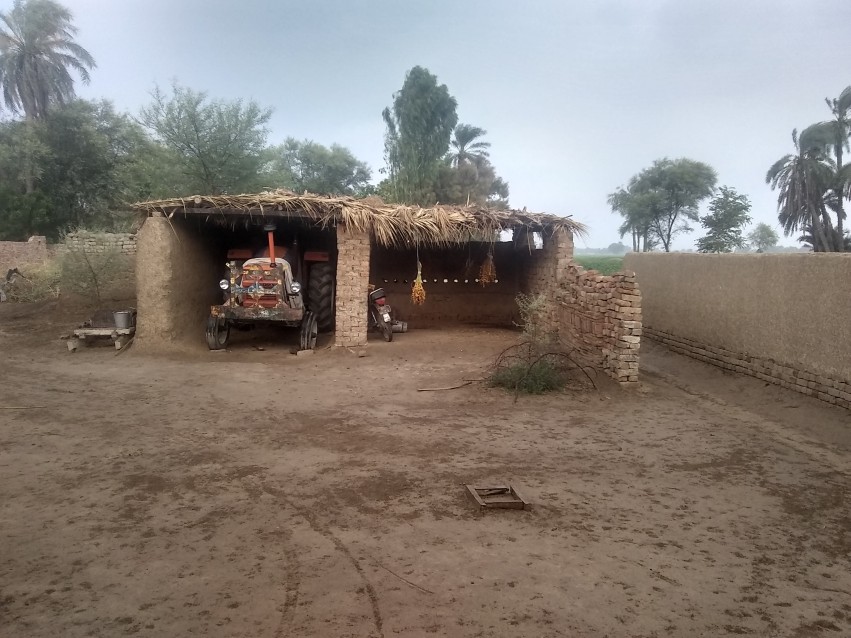 A tractor parked in a garage in Punjab with date palms hanging with it