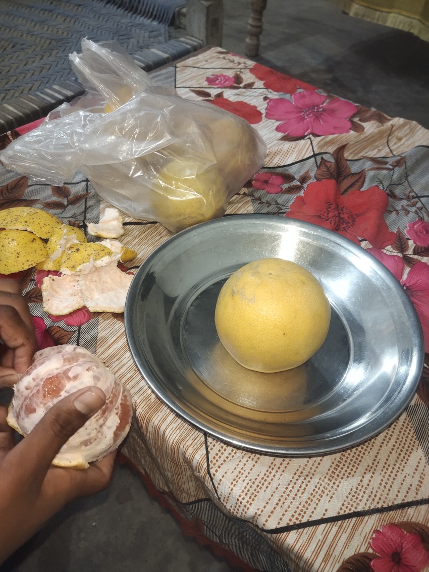 A view of grapefruit peeling at a farmhouse in Punjab