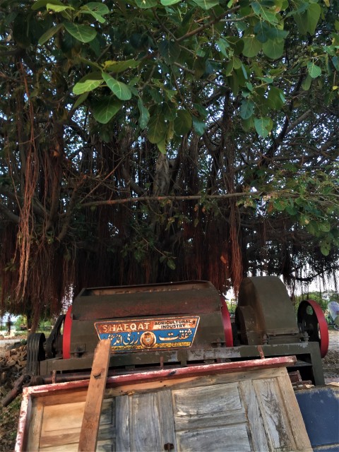 Agricultural Machinery Under A Tree