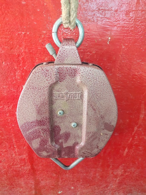 Back view of a fork for measuring wheat