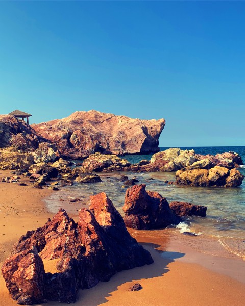 Beach View