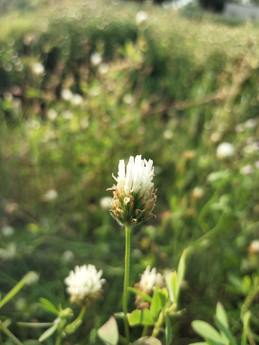Beautiful view among grasses in spring season