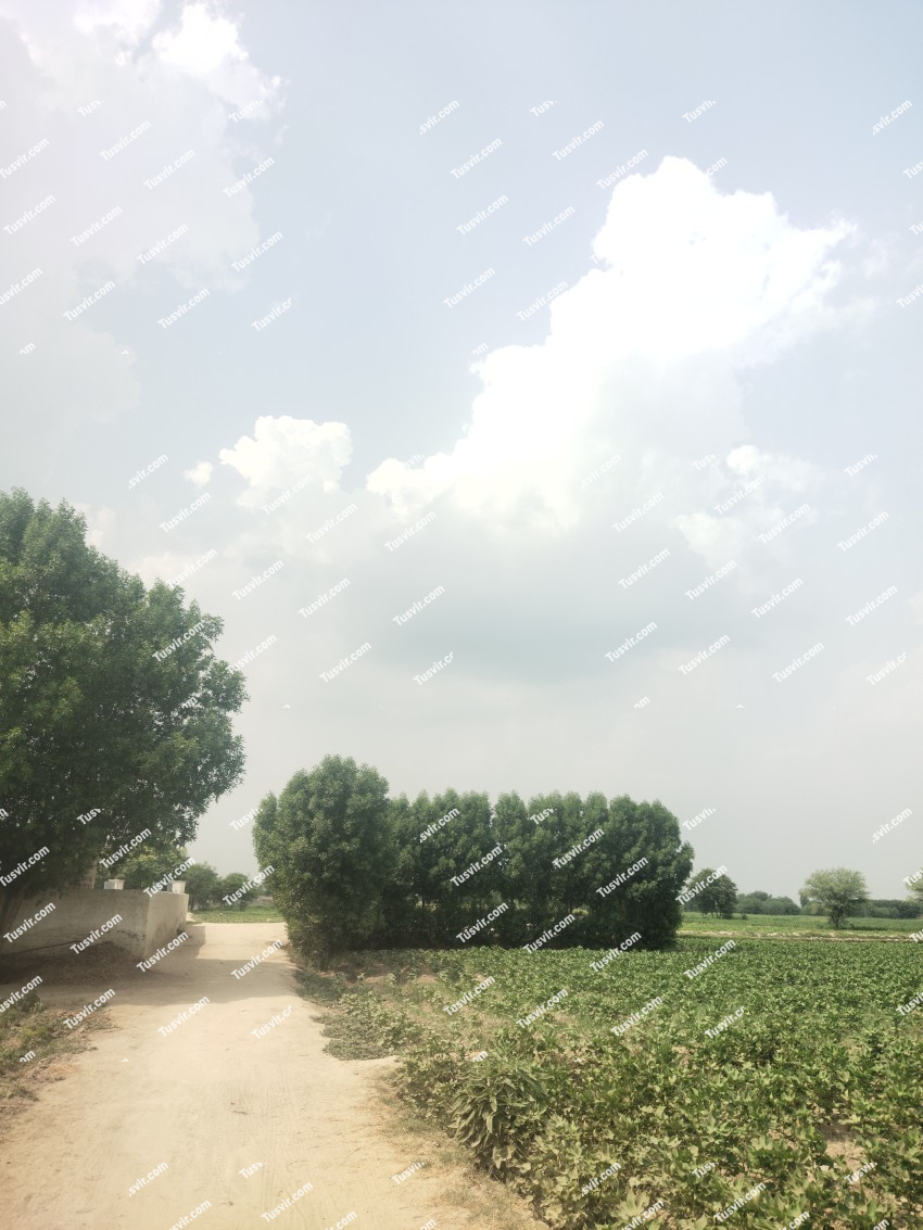 beautiful view in the village, Cloudy sky stock footage