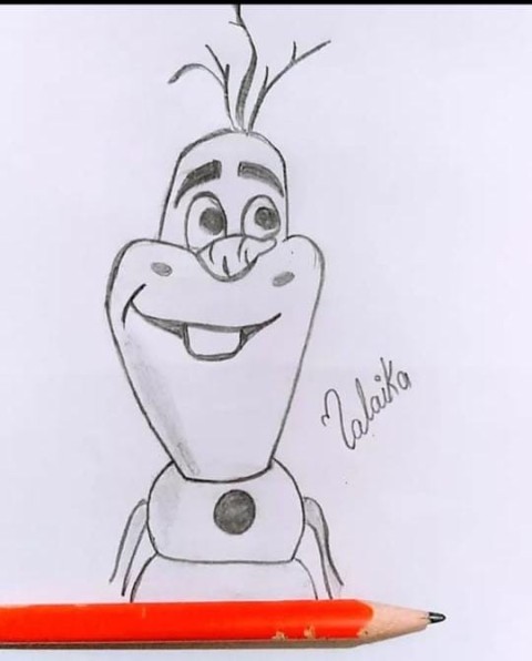 Carrot Sketch