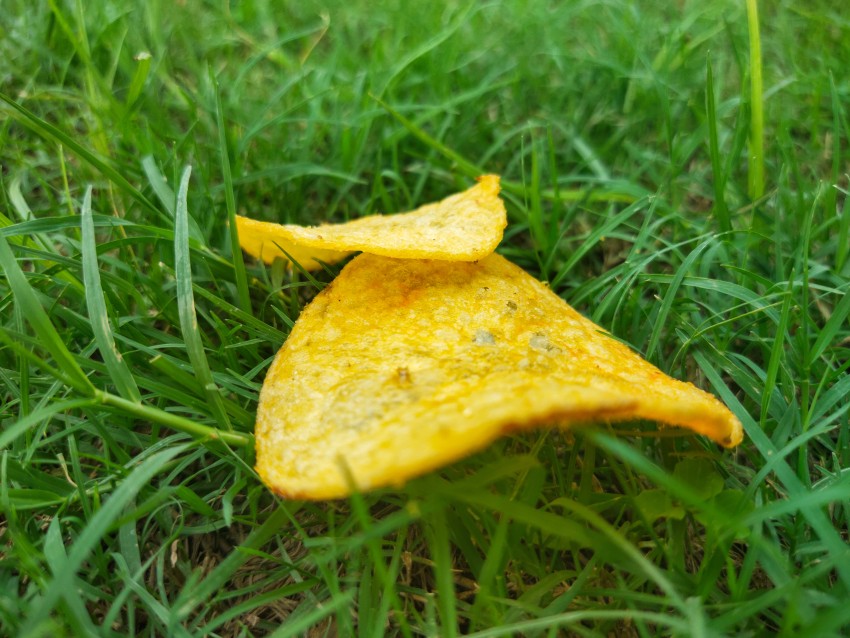 Close-up of two lays chips on grass, Food stock footage