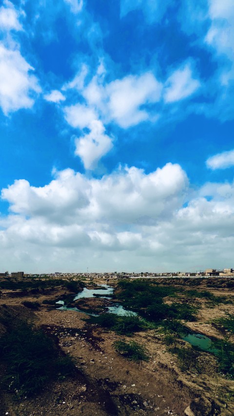 Cloudy Day