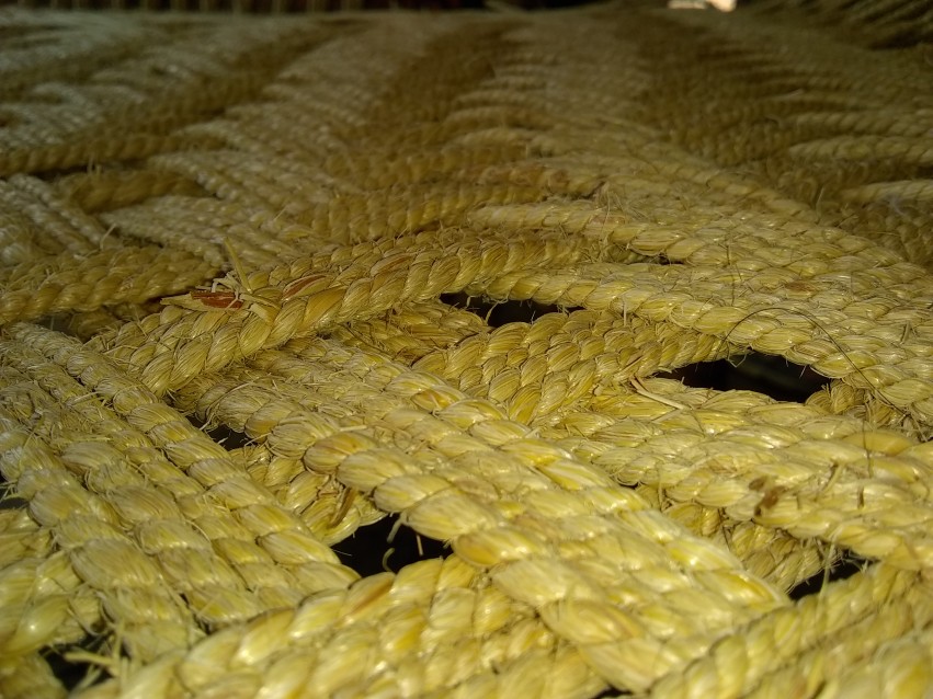 Cot rope, from which the cot is made.