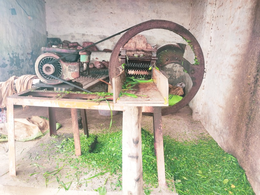 Cow fodder (grass) cutting machine which runs on diesel.