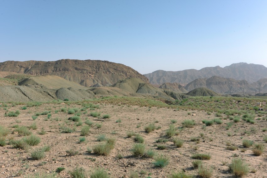 Dirt road leading to mountains