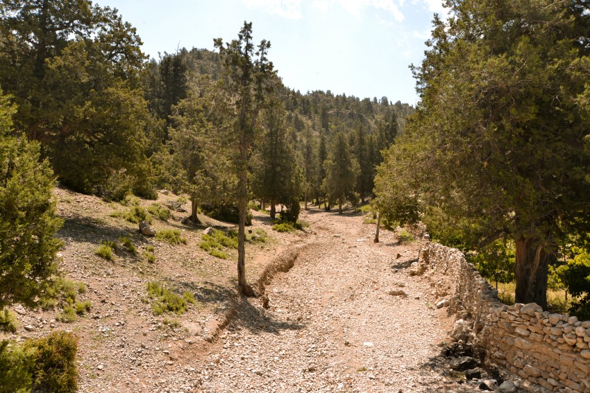 Dirt road to mountains in Ziarat, Quetta, Balochistan