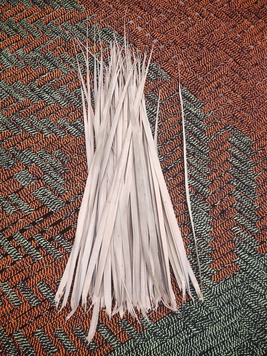 Dried palm leaves, ready to make a handmade Fan.