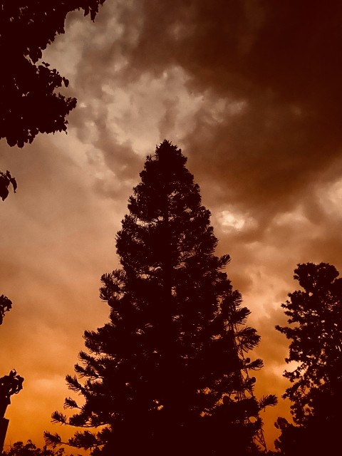 Dusk till Dawn