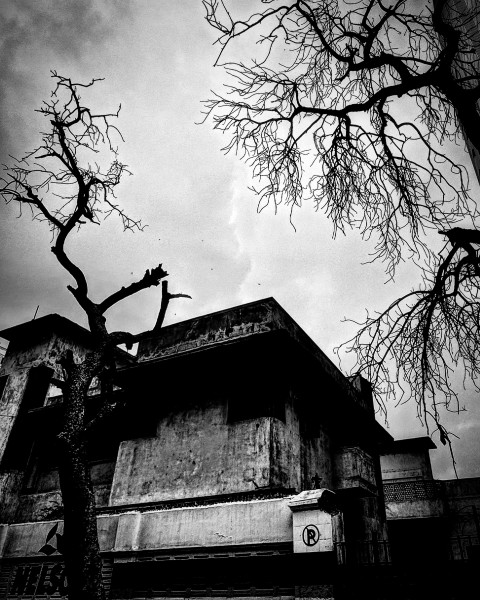 Empty House