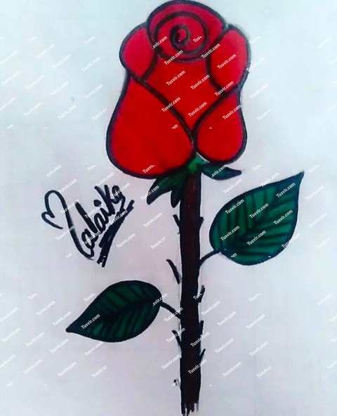 Flover Sketch