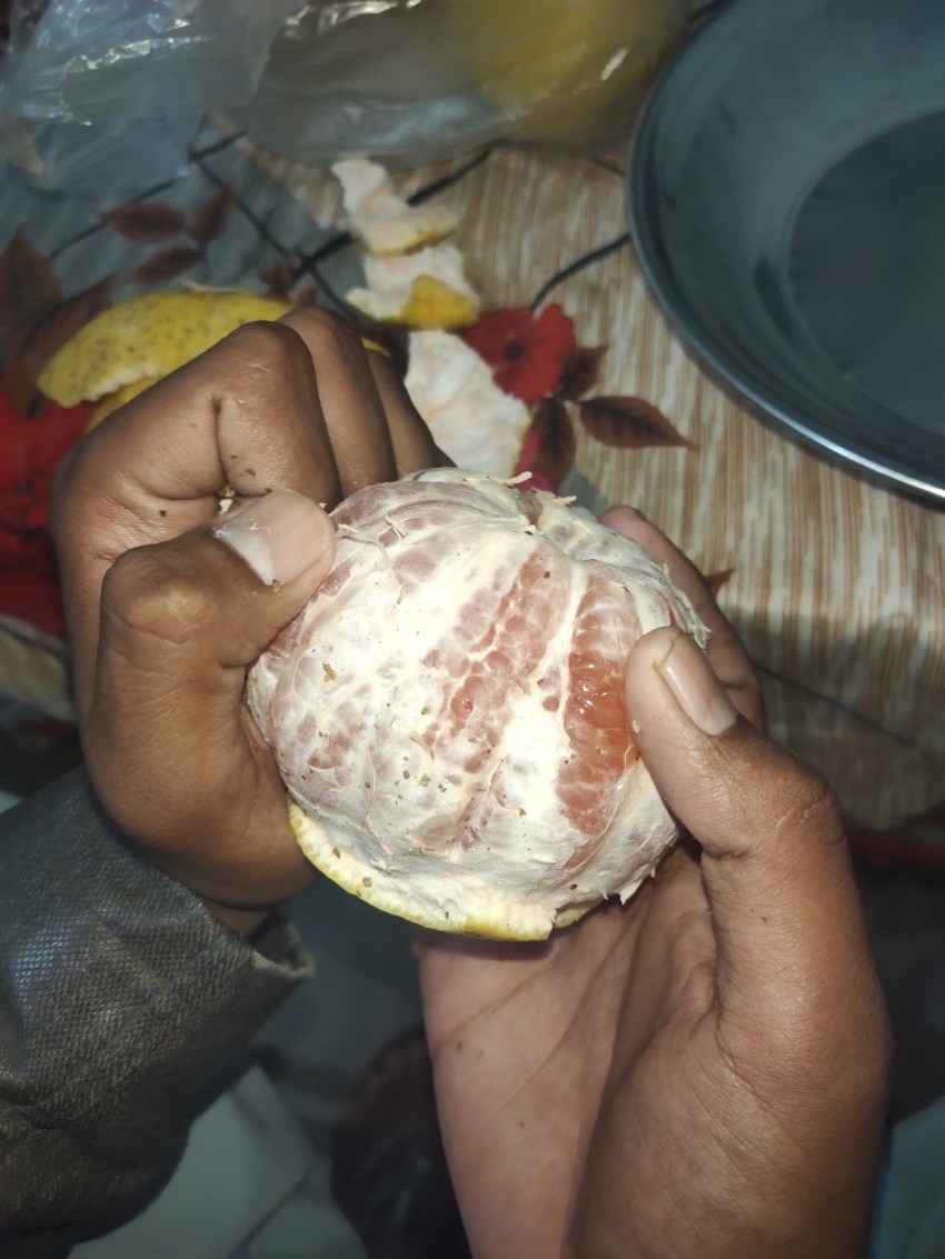 Grapefruit close up view in the hand finger, like orange stock footage