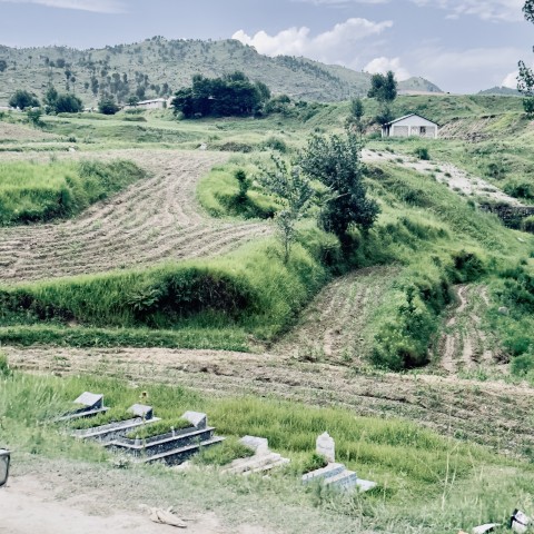 GraveYard