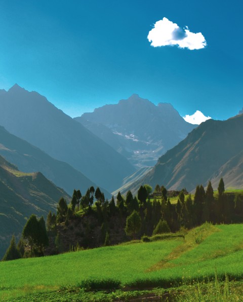 Green mountain