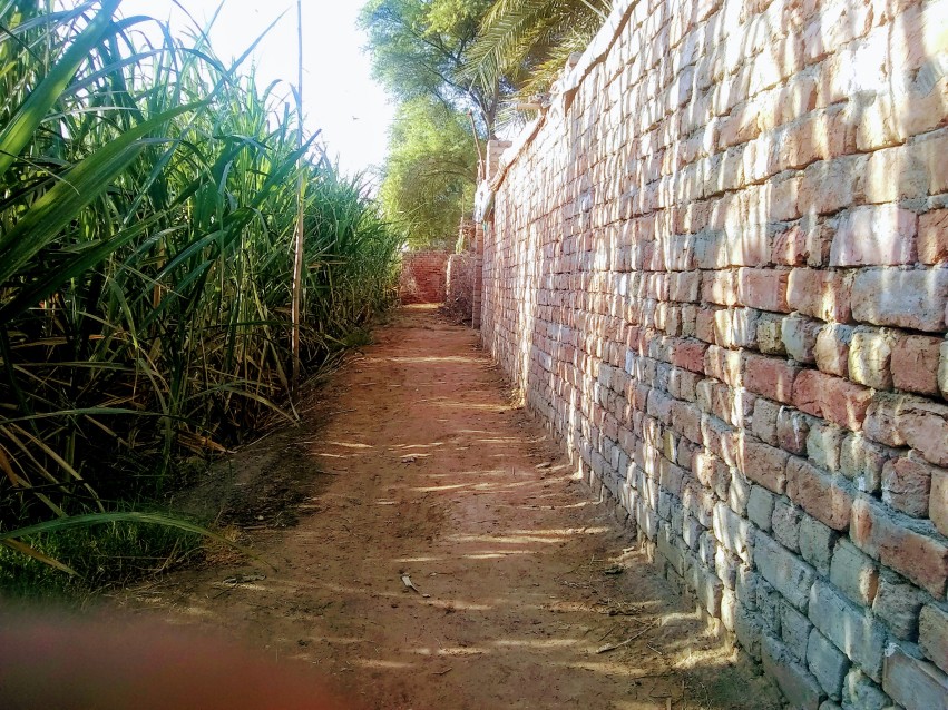 Village street behind the building