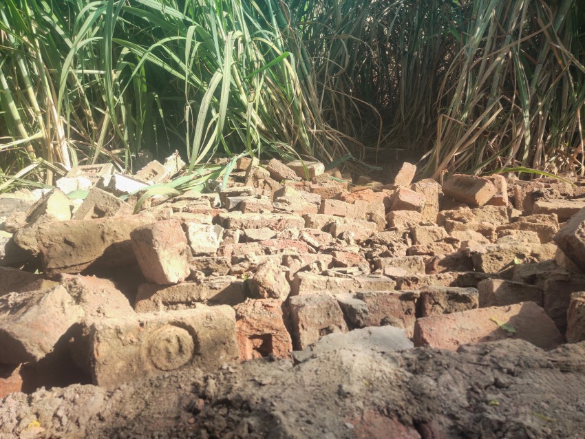 IMG 202A close-up view of the red bricks of the fallen wall in the sugarcane field30911 084009