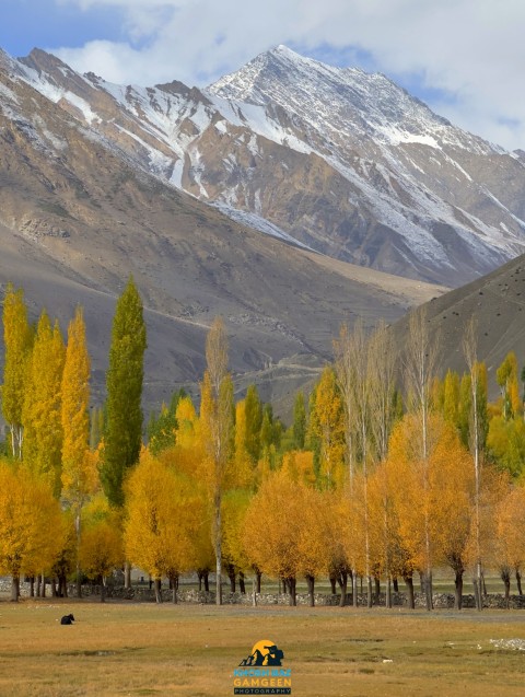 The Autumn Colors Of Yasin Valley Northern Area Of Pakistan