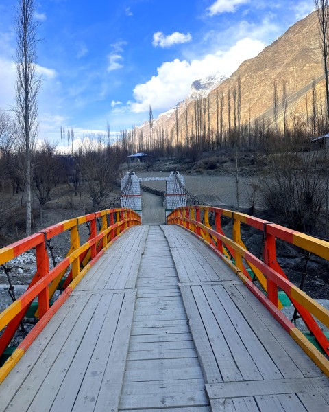 inbound4436675318714607997