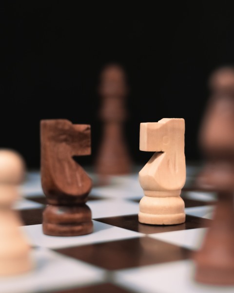 Knights on a chess board