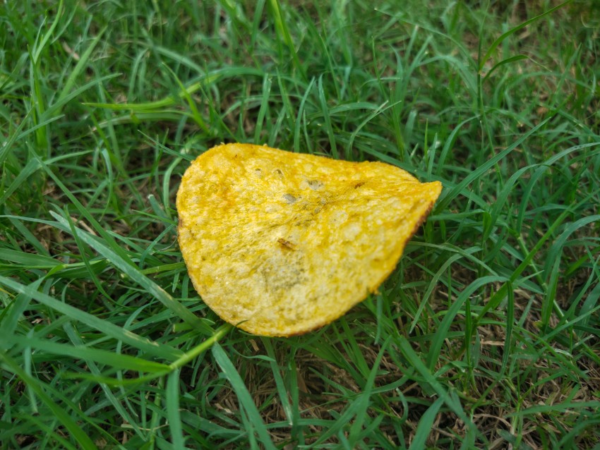 Lace chips that have fallen on green grass, potato chips stock footage