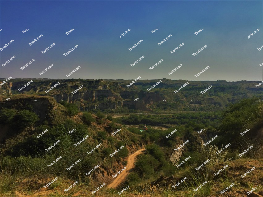 Landscape