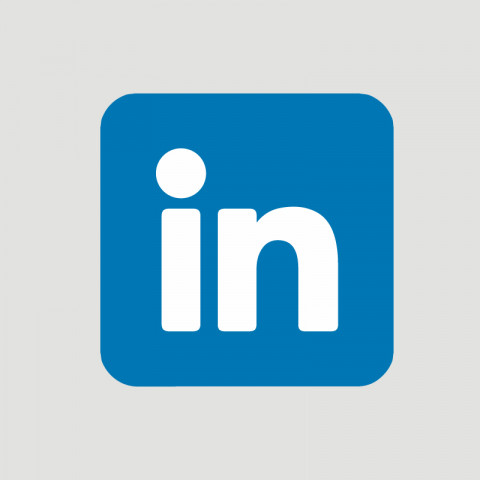 LinkedIn Logo icon