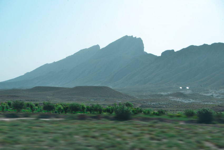 Mountain with trees while in a moving car