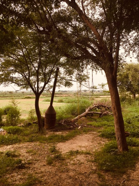 Nature