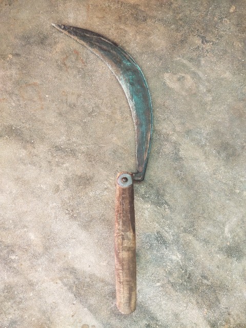 Old reaping tool, Village Harvest tool, Primitive farm tool,