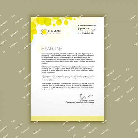 Olive Green Business Letterhead