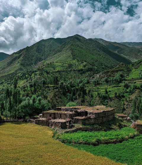 Organic valley