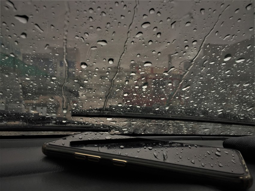 Pluviophile