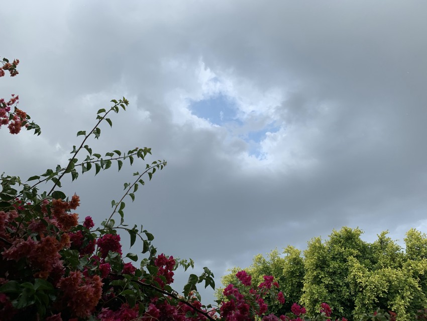 Rain Weather