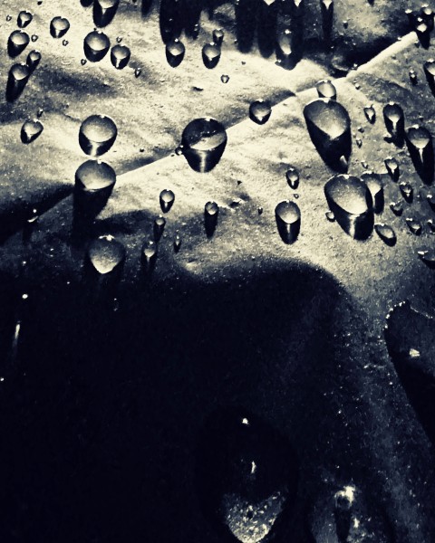 Raindrops