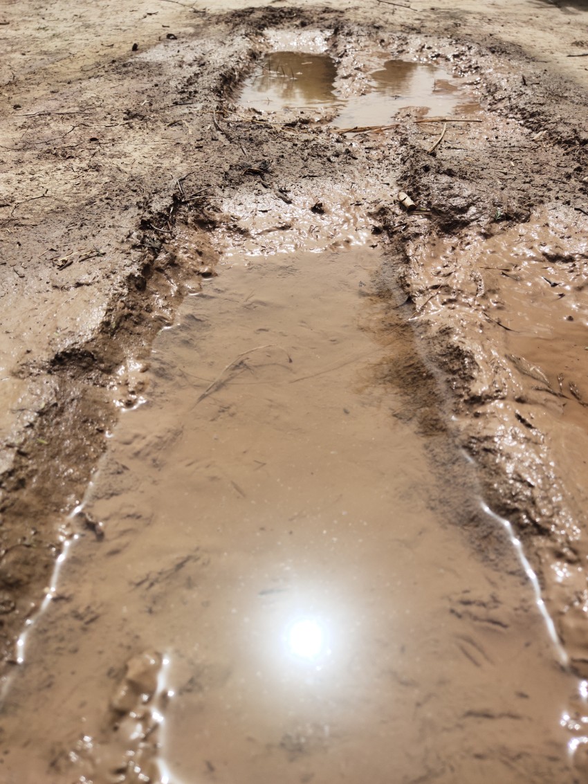 Rainwater that has accumulated on the dirt road and turned into mud