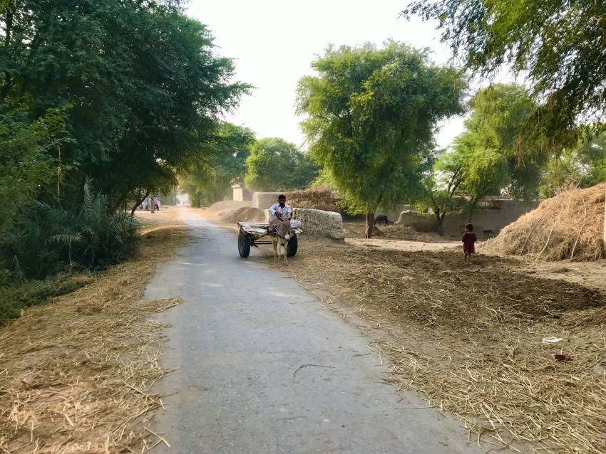 Real Simple Village Lifestyle in Punjab #village #villagelife #villagelifestyle