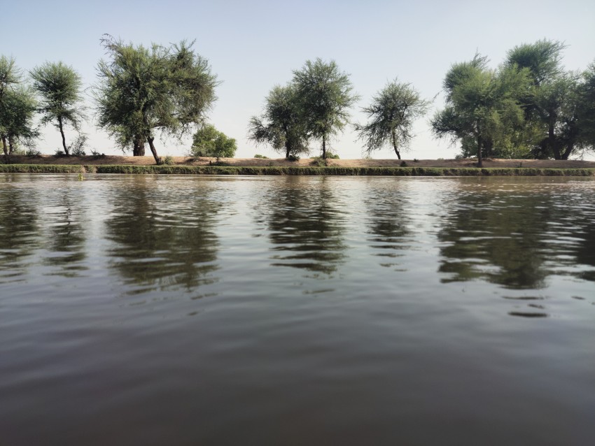 Reflection of trees in the flowing water of a huge canal, Beauty of water flow
