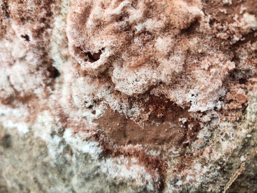 Seams on the wall due to stagnant water